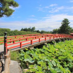 猿賀公園