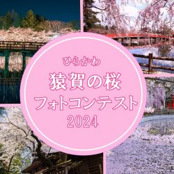 ひらかわ猿賀の桜フォトコンテスト2024　【4/13～5/6】