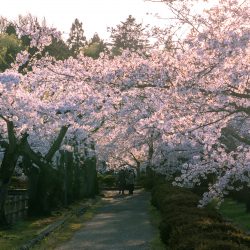 猿賀公園