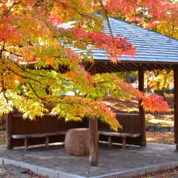 猿賀公園
