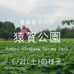 猿賀公園の現在の様子