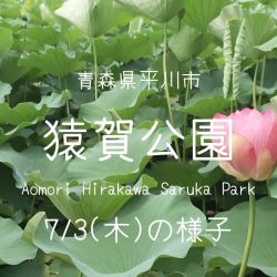 猿賀公園の現在の様子