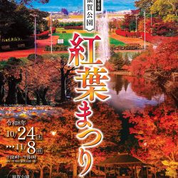 猿賀公園 紅葉まつり2026【10/24~11/8】
