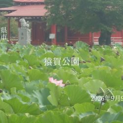 猿賀公園の様子2026