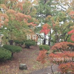 猿賀公園の紅葉の様子2026